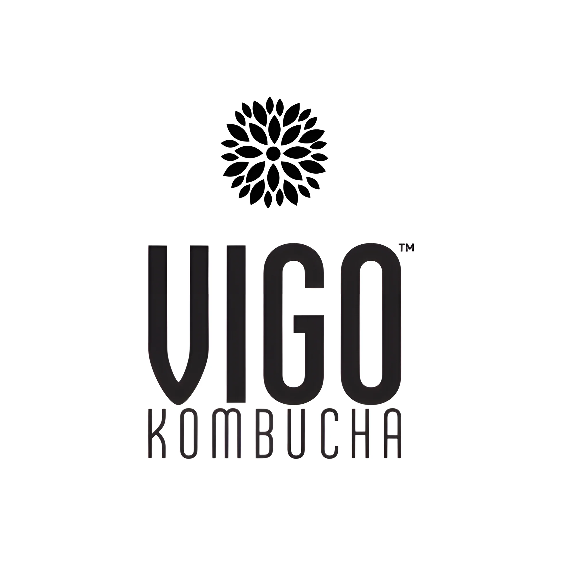 Vigo Kombucha